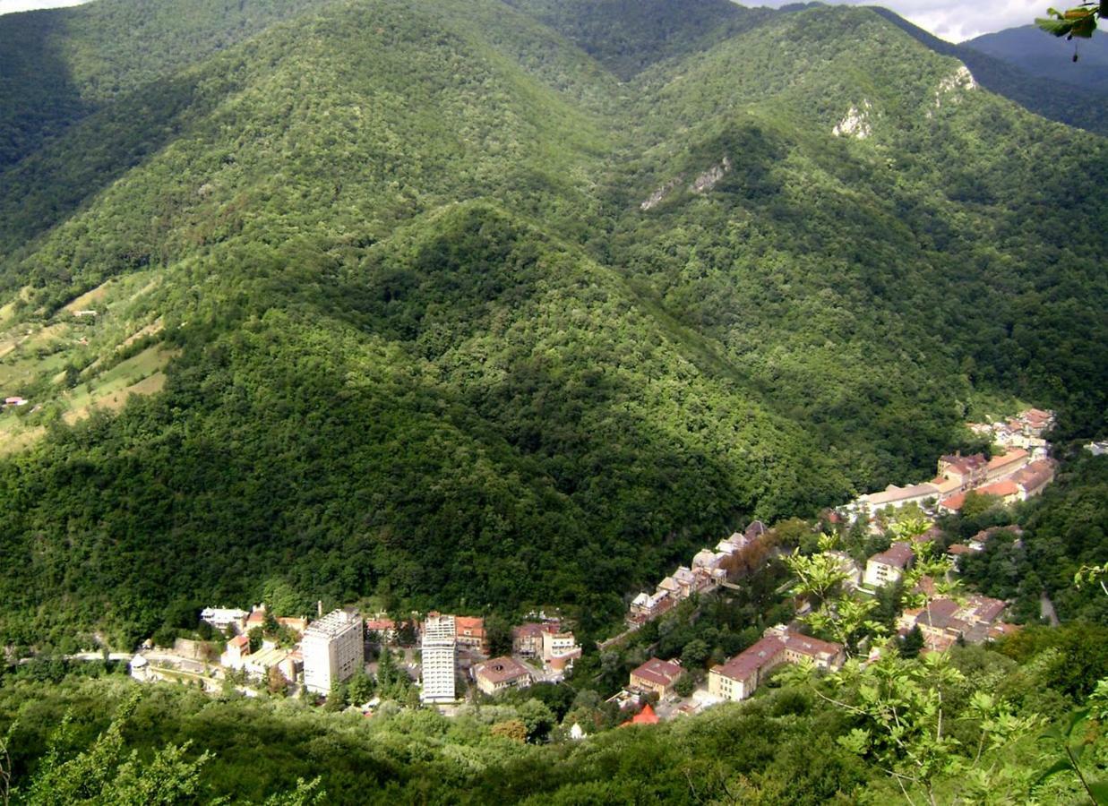 Apartament Garsoniera Aleea Trandafirilor Băile Herculane Zewnętrze zdjęcie
